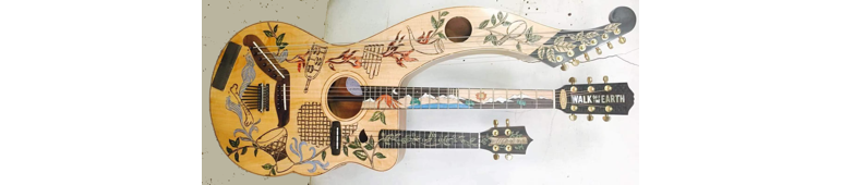 What type of guitar is that?!