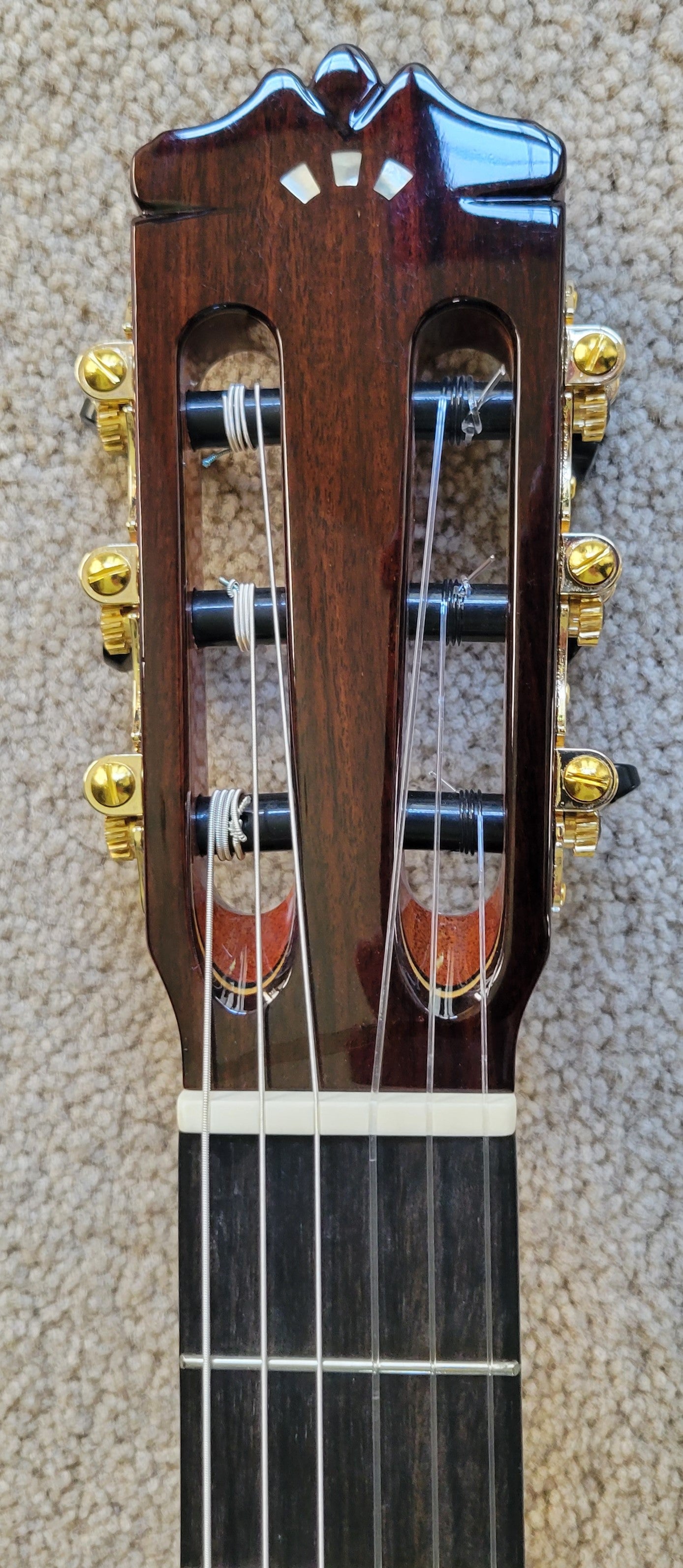 Cordoba C10 CD Spanish Classical Traditional Acoustic Guitar, New Polyfoam Case
