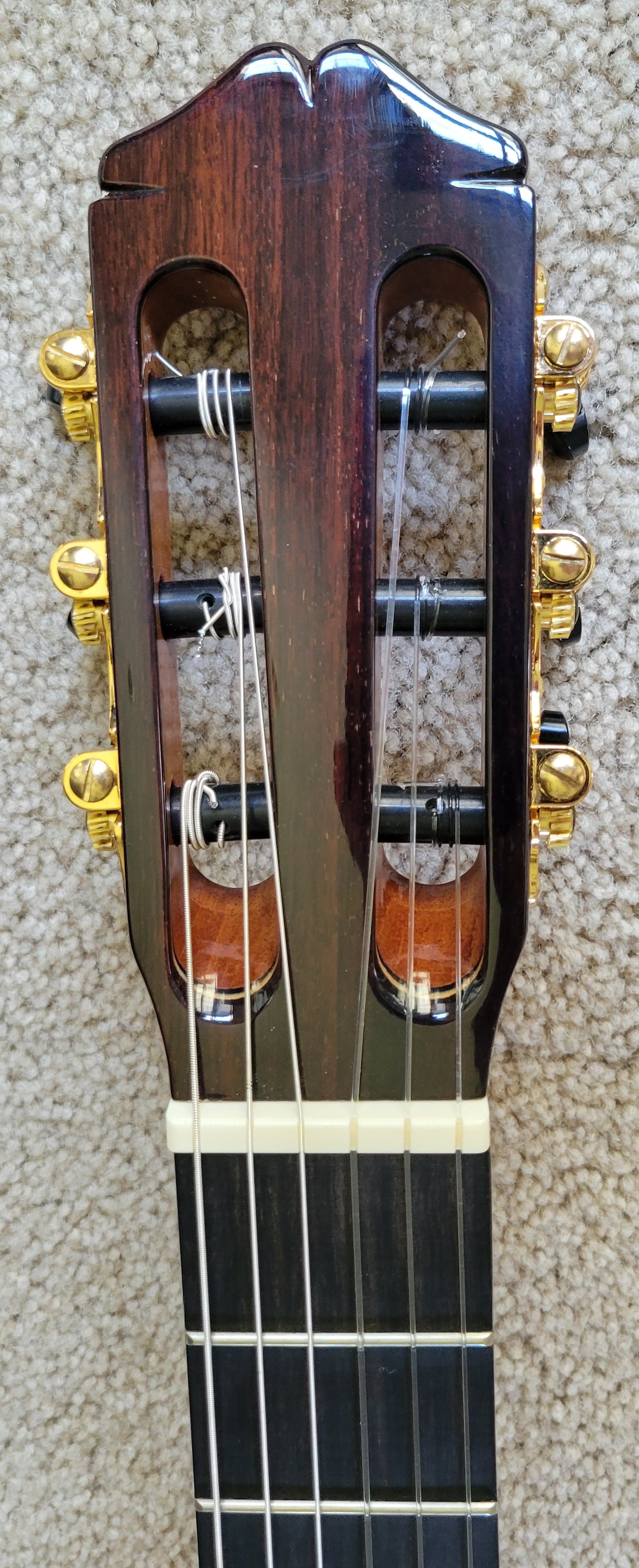 Cordoba 55FCE Negra Ziricote Spanish Classical Acoustic Electric Guitar, New HumiCase