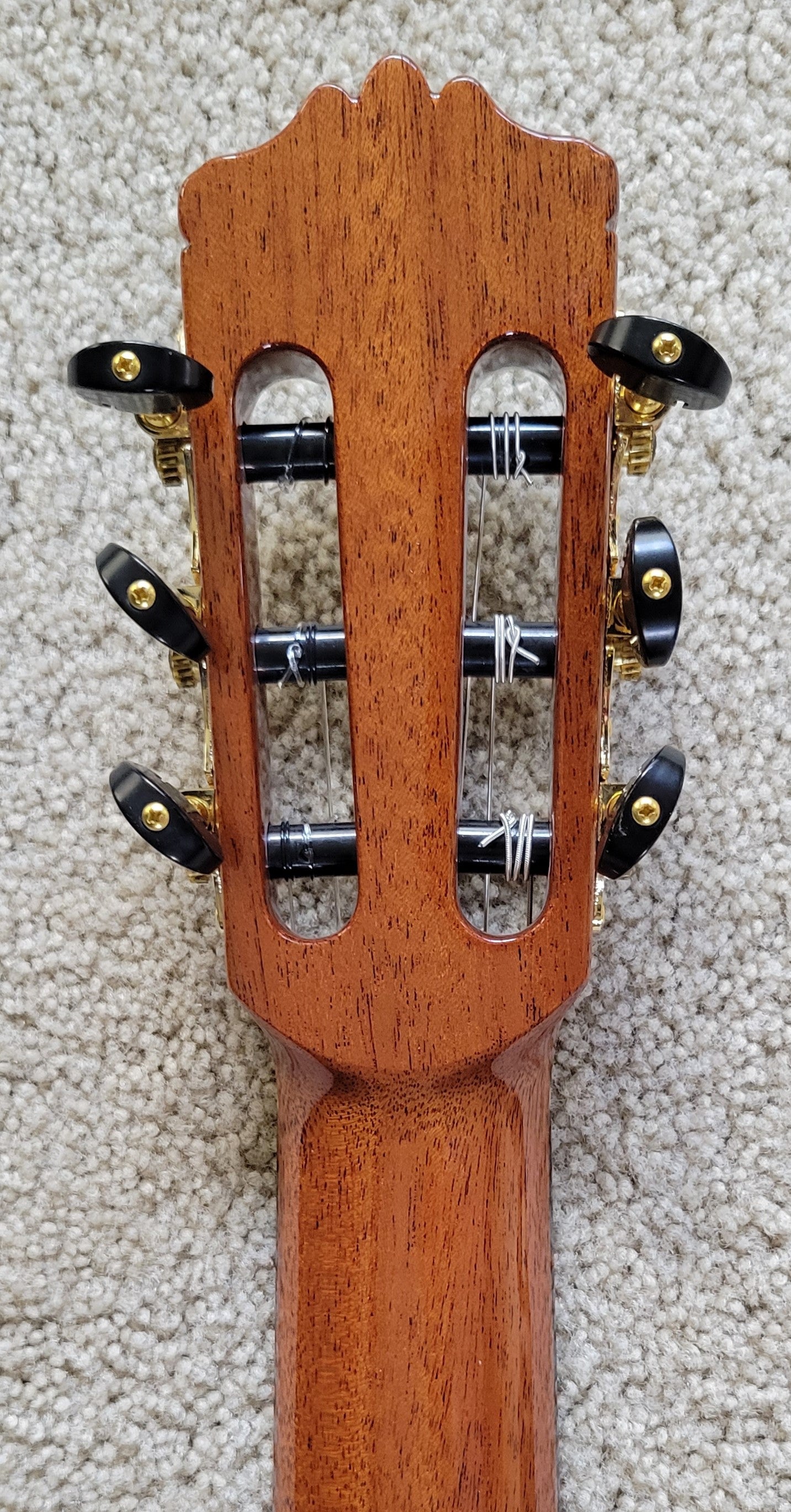 New Cordoba C10 SP Spanish Classical Traditional Acoustic Guitar, Polyfoam Case