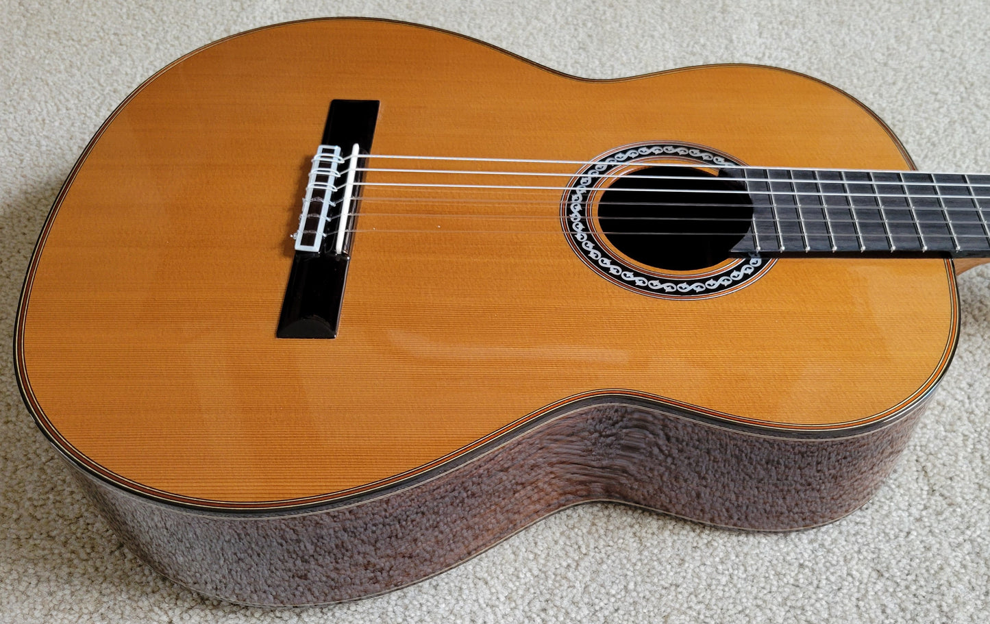 New Cordoba C10 CD Spanish Classical Traditional Acoustic Guitar, Polyfoam Case