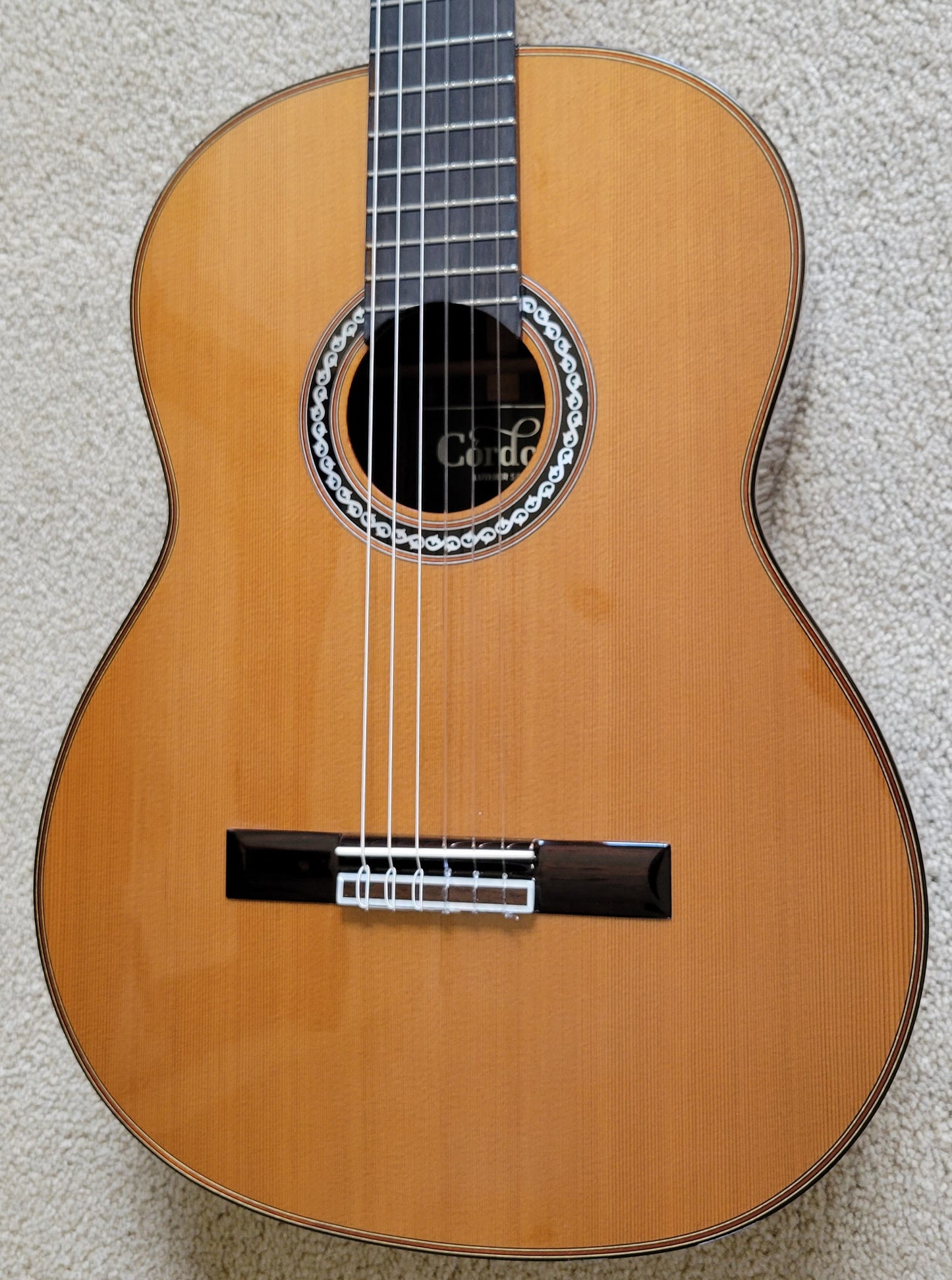 New Cordoba C10 CD Spanish Classical Traditional Acoustic Guitar, Polyfoam Case