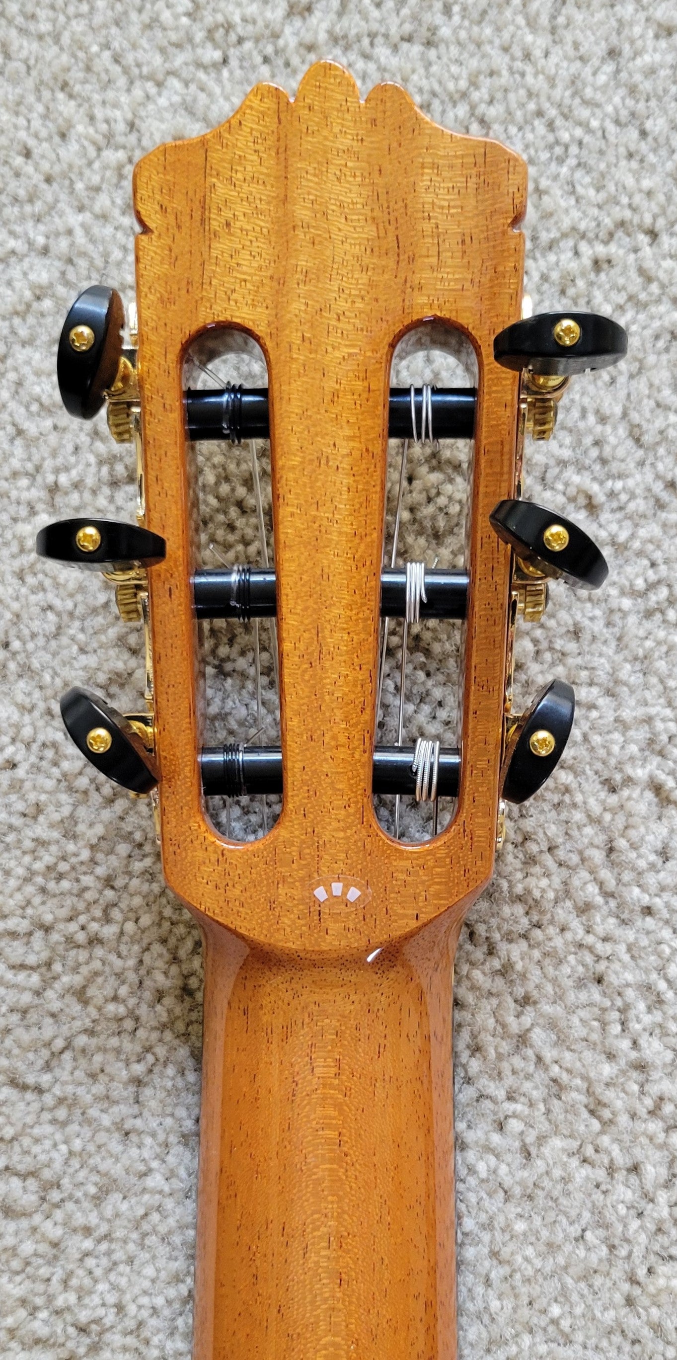 New Cordoba C10 CD Spanish Classical Traditional Acoustic Guitar, Polyfoam Case