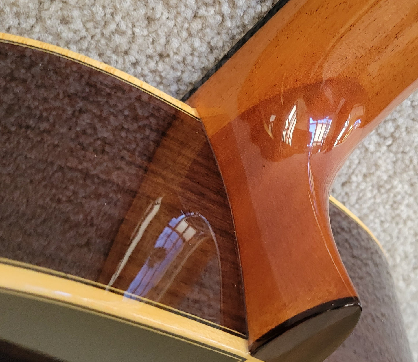 Cordoba C12 CD Traditional Classical Acoustic Guitar, HumiCase Hard Shell Case