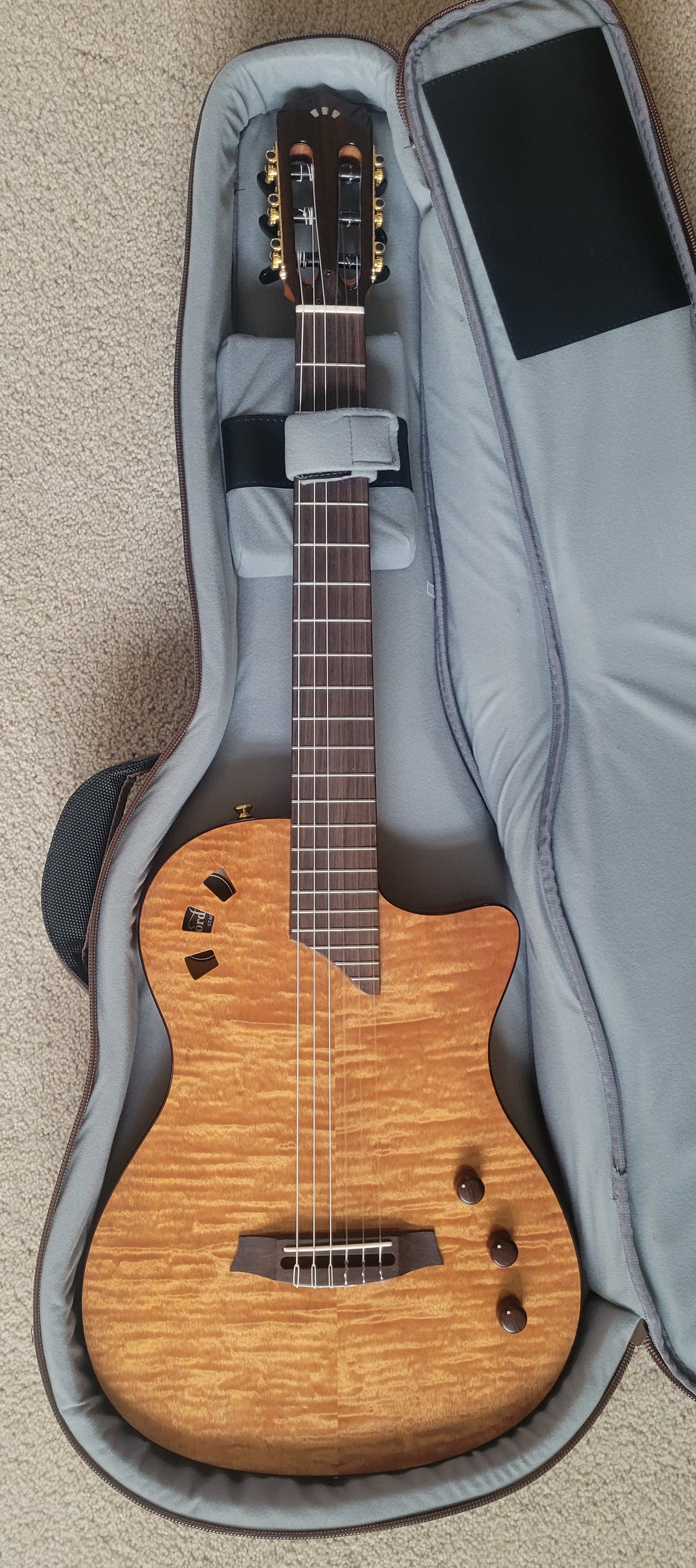 Cordoba Stage Nylon String Electric Guitar, Natural Amber, New Gig Bag