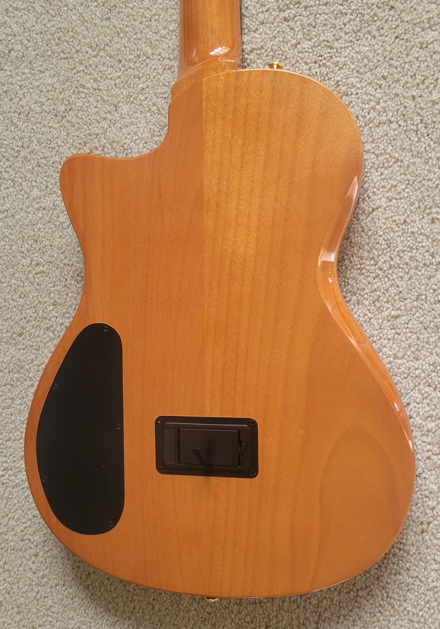 Cordoba Stage Nylon String Electric Guitar, Natural Amber, New Gig Bag
