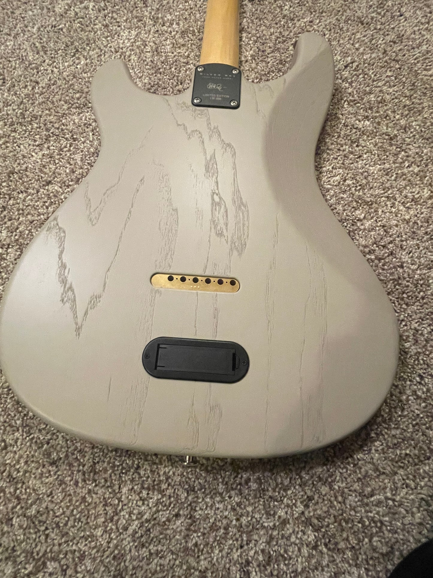 PRS Silver Sky "Dead Spec"