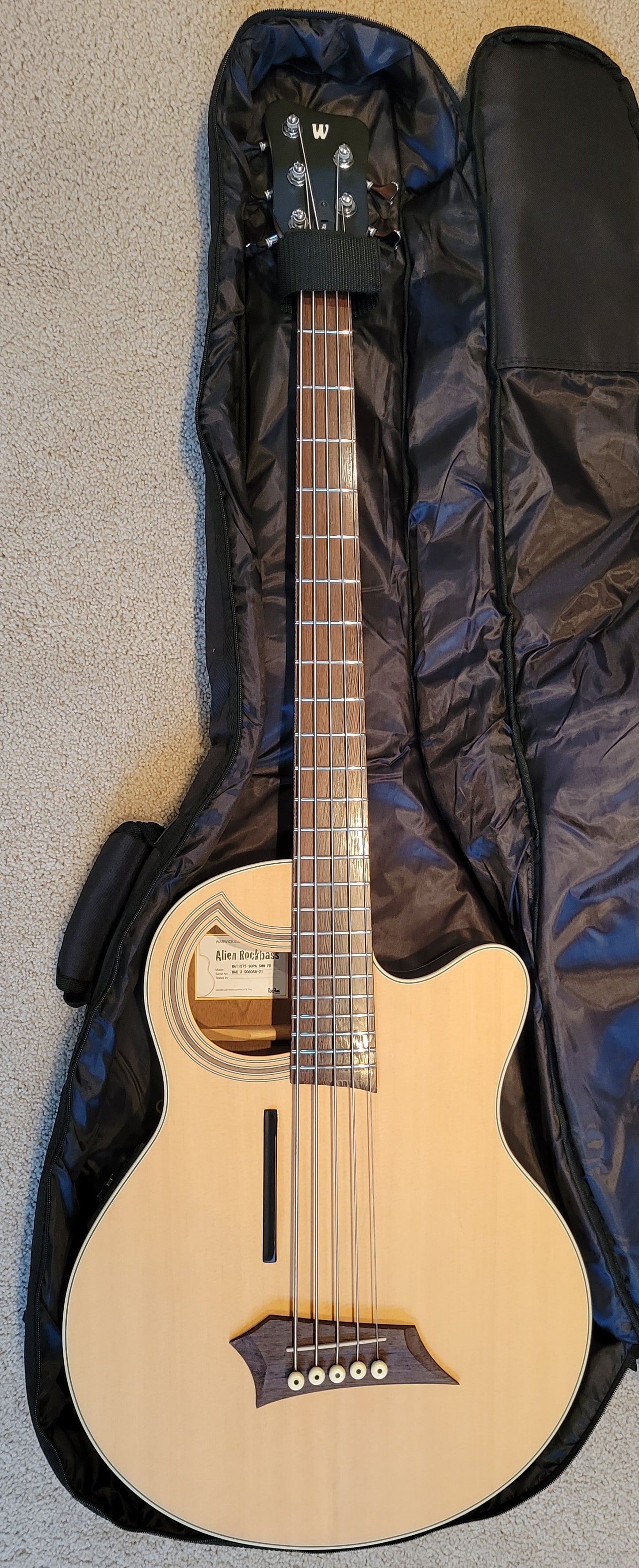 Warwick RockBass Alien Deluxe Hybrid Thinline 5-String Acoustic Electric Bass Guitar, New Gig Bag