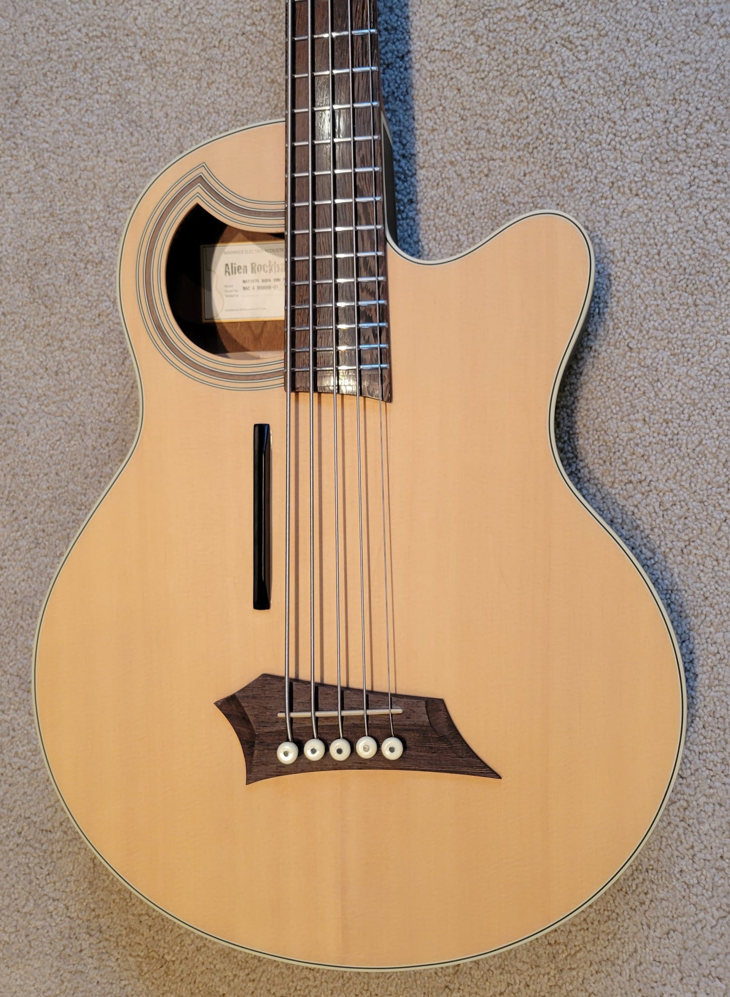 Warwick RockBass Alien Deluxe Hybrid Thinline 5-String Acoustic Electric Bass Guitar, New Gig Bag