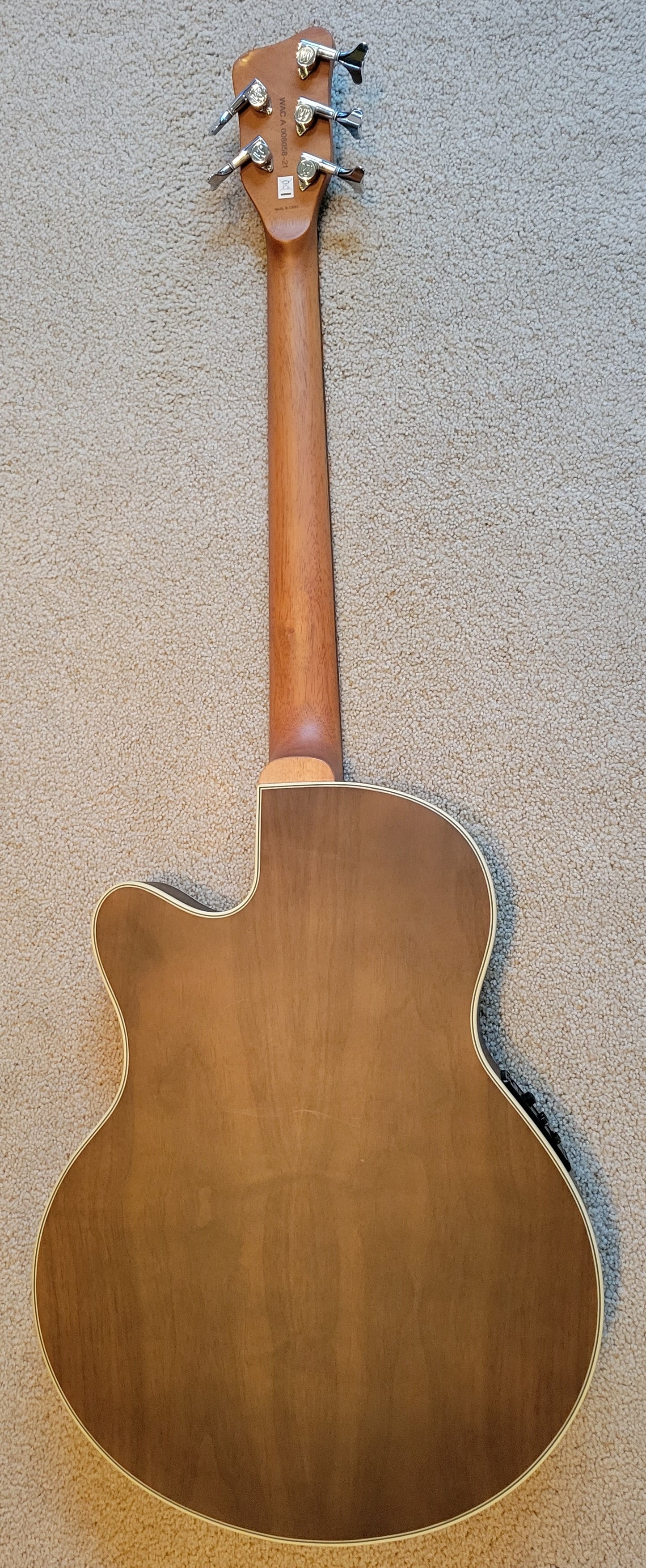 Warwick RockBass Alien Deluxe Hybrid Thinline 5-String Acoustic Electric Bass Guitar, New Gig Bag