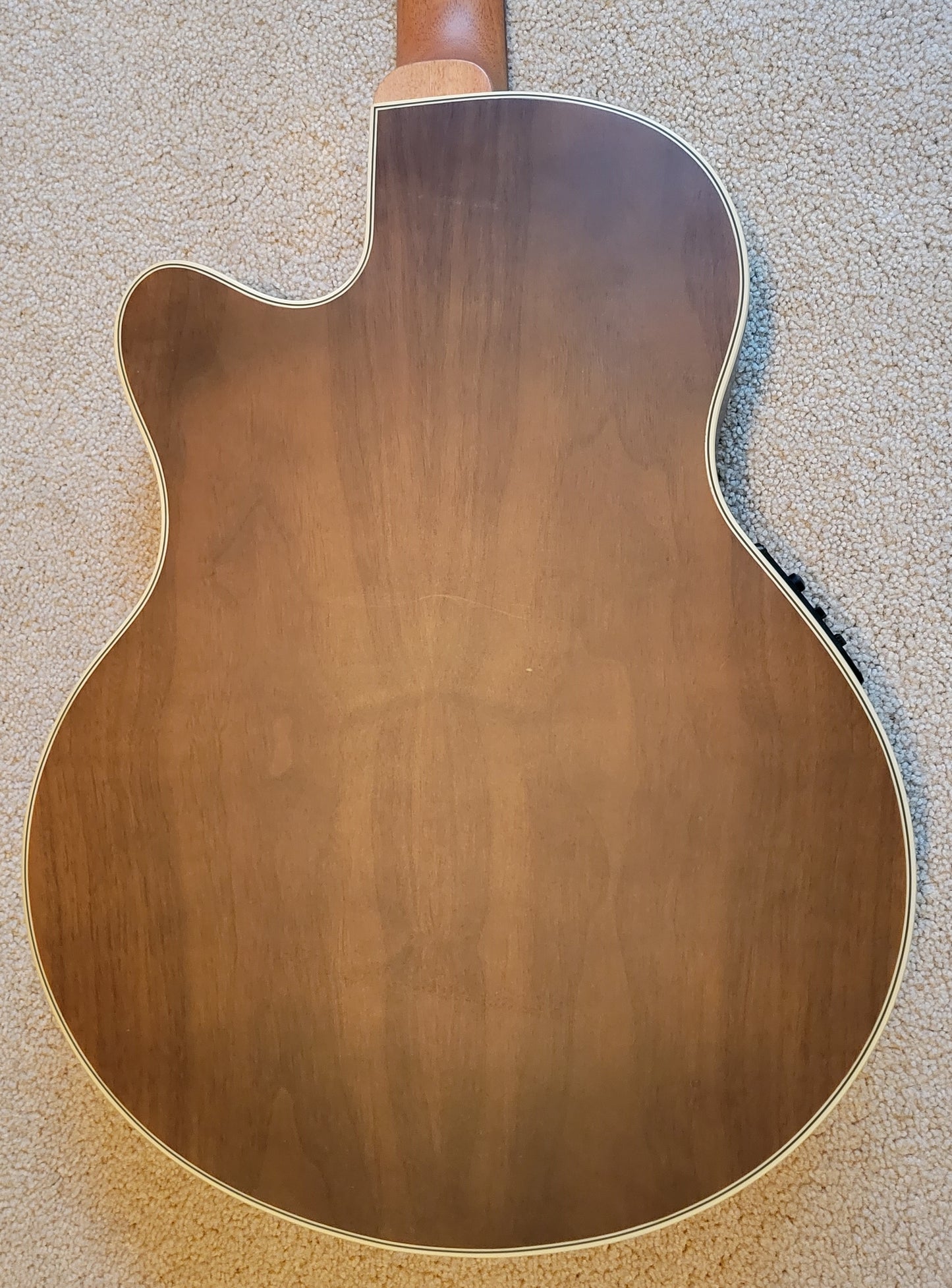 Warwick RockBass Alien Deluxe Hybrid Thinline 5-String Acoustic Electric Bass Guitar, New Gig Bag