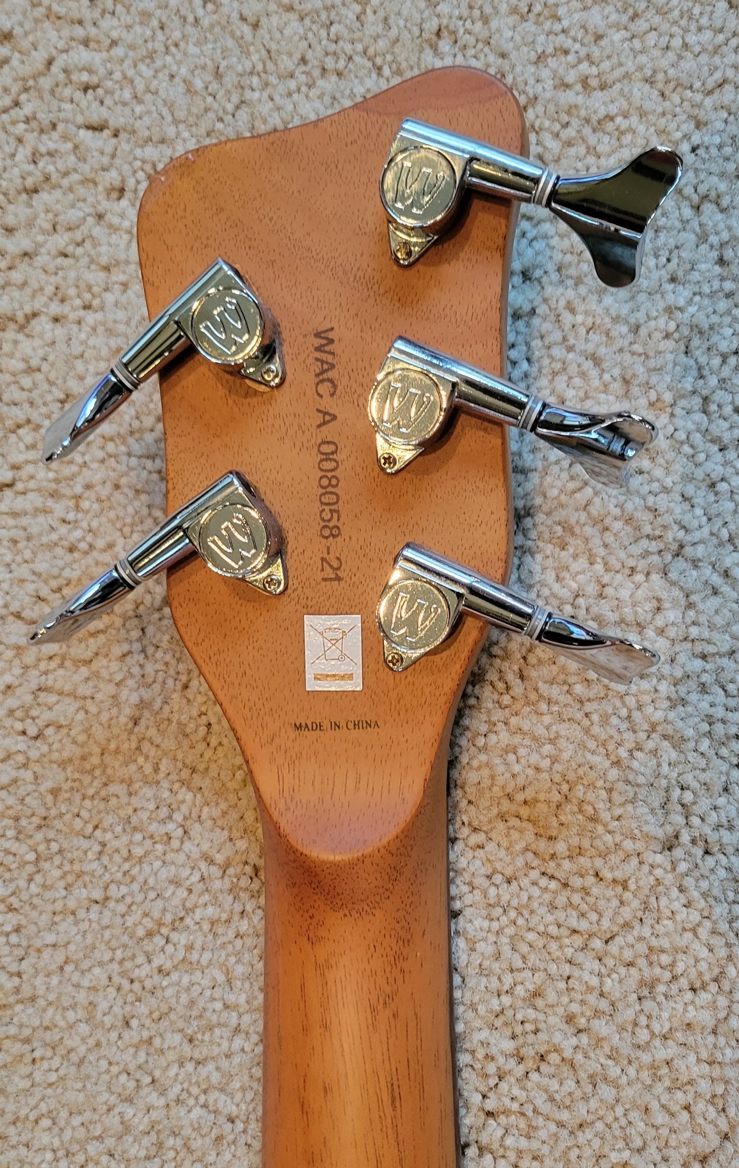 Warwick RockBass Alien Deluxe Hybrid Thinline 5-String Acoustic Electric Bass Guitar, New Gig Bag
