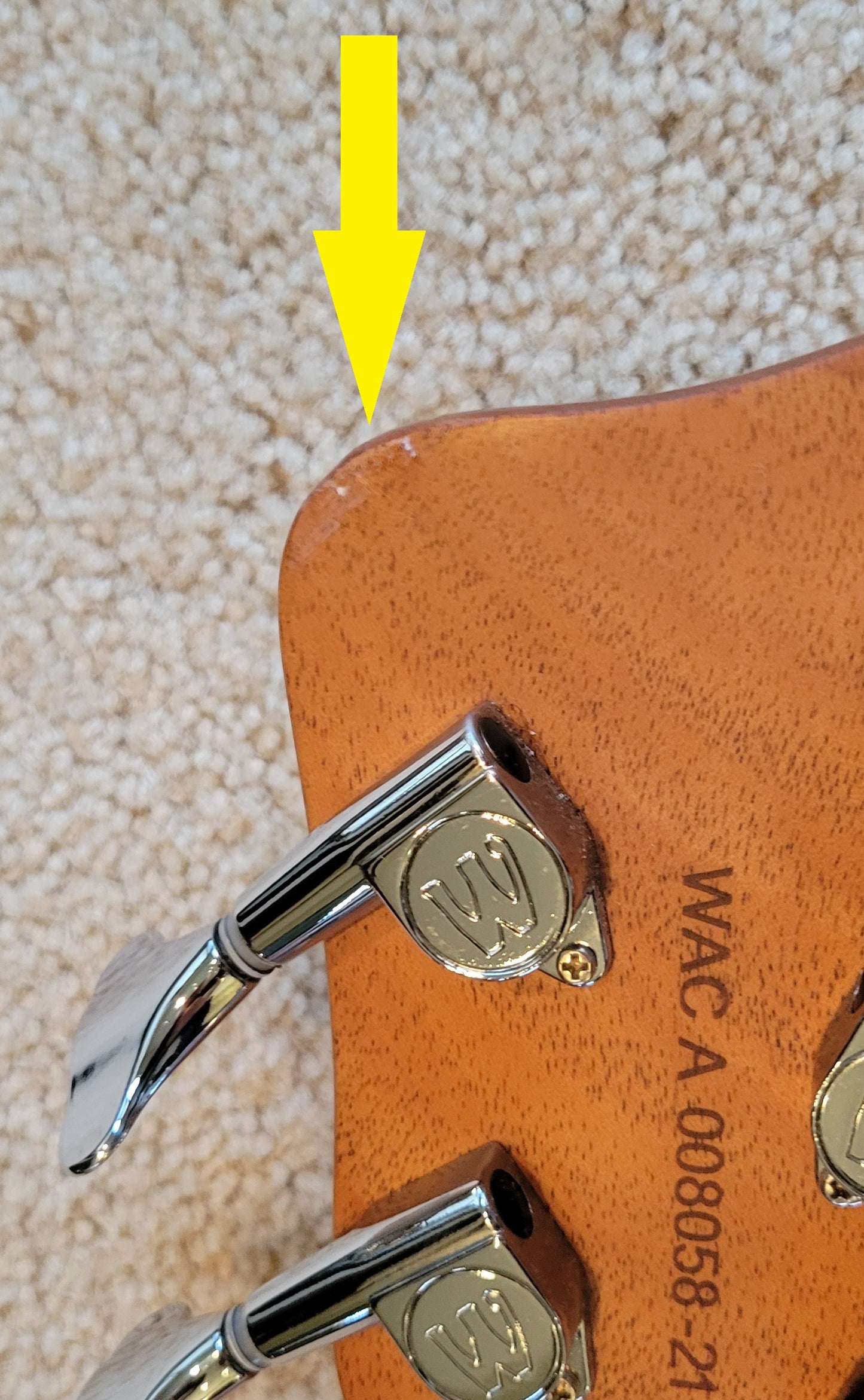 Warwick RockBass Alien Deluxe Hybrid Thinline 5-String Acoustic Electric Bass Guitar, New Gig Bag