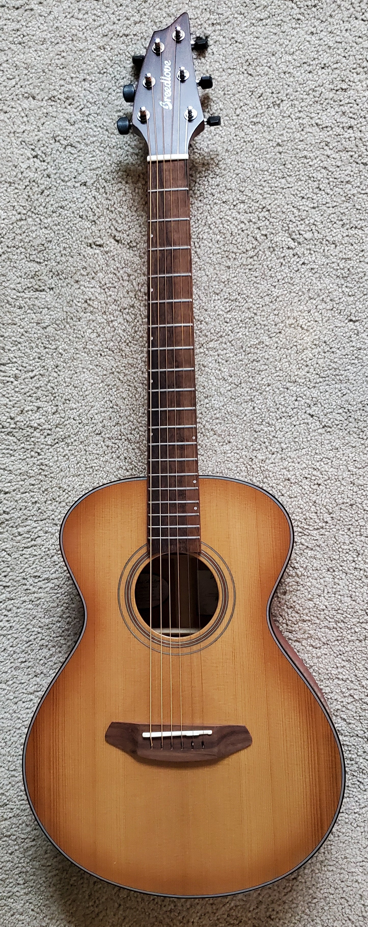 Breedlove Signature Companion Copper E Acoustic Electric Guitar, New Taylor Case