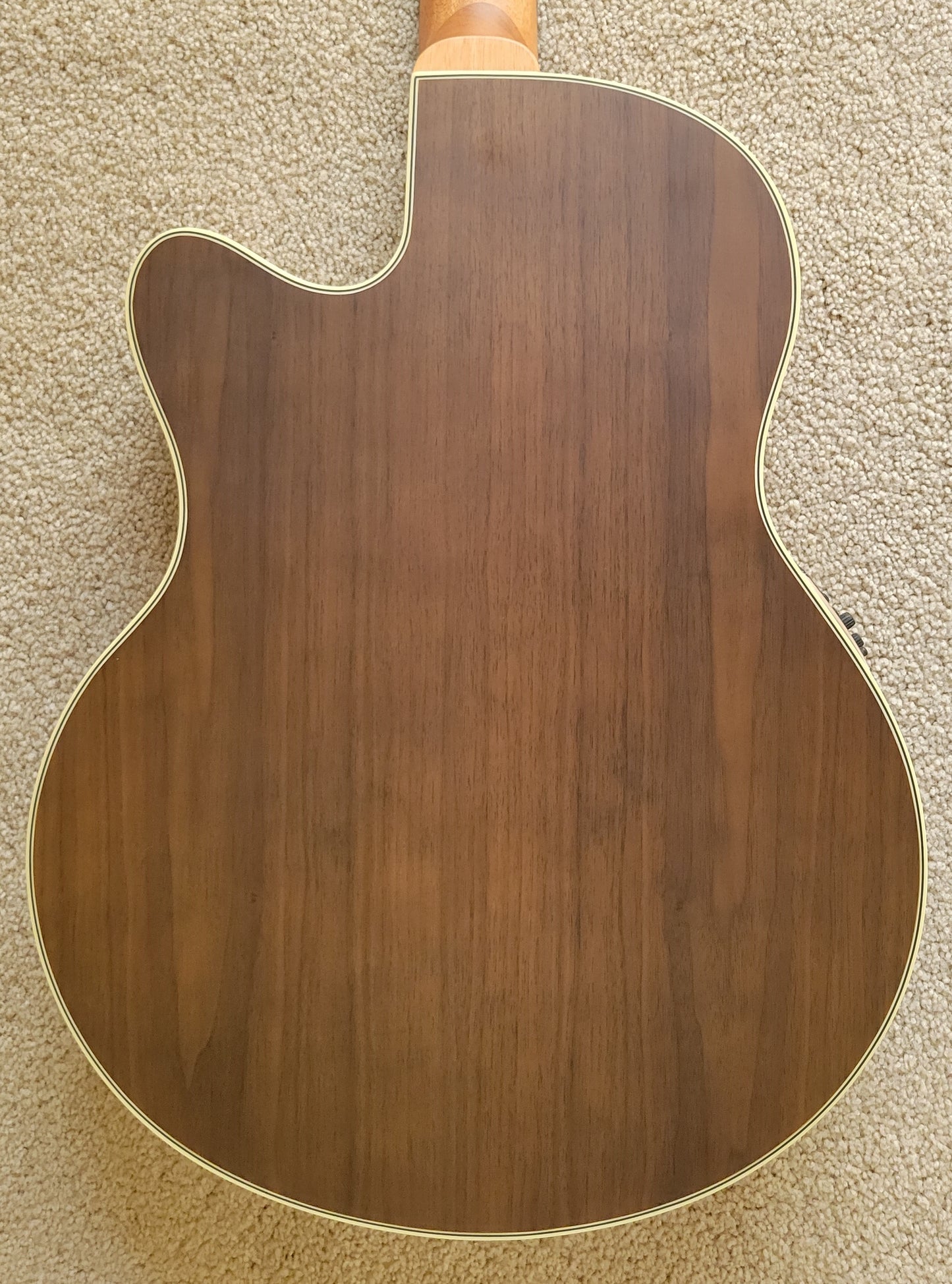 Warwick RockBass Alien Deluxe Hybrid Thinline 5-String Acoustic Electric Bass Guitar, New Gig Bag