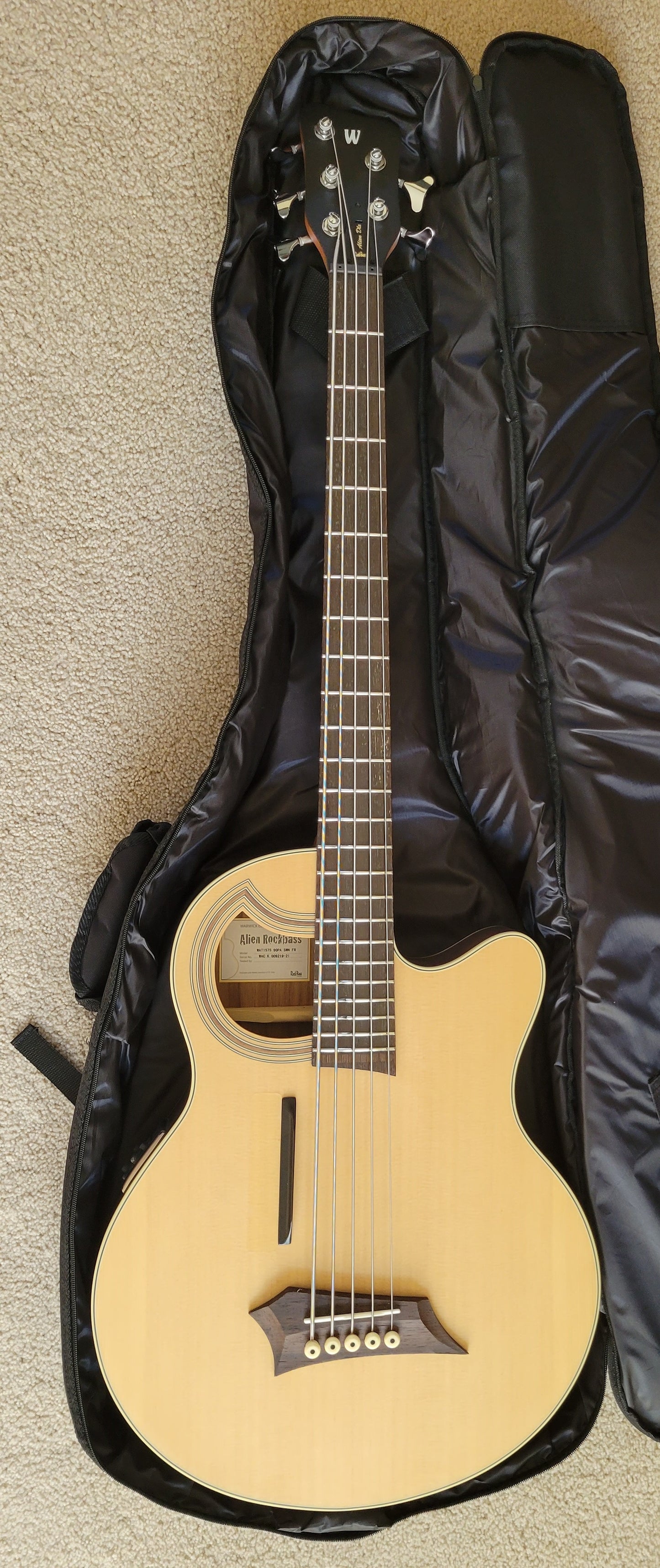 Warwick RockBass Alien Deluxe Hybrid Thinline 5-String Acoustic Electric Bass Guitar, New Gig Bag