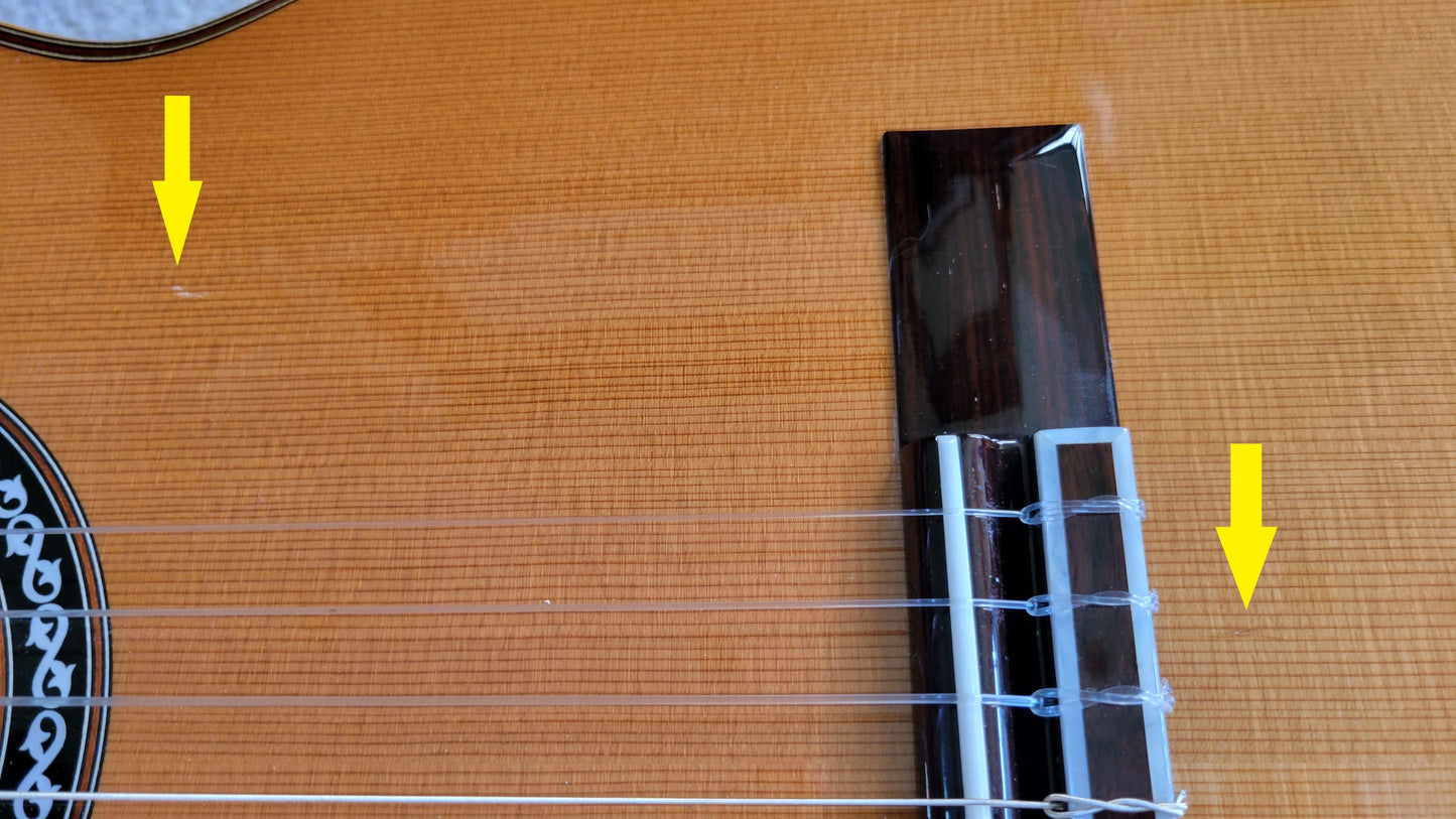 Cordoba C12 CD Cedar Traditional Classical Acoustic Guitar - New Cordoba Humicase