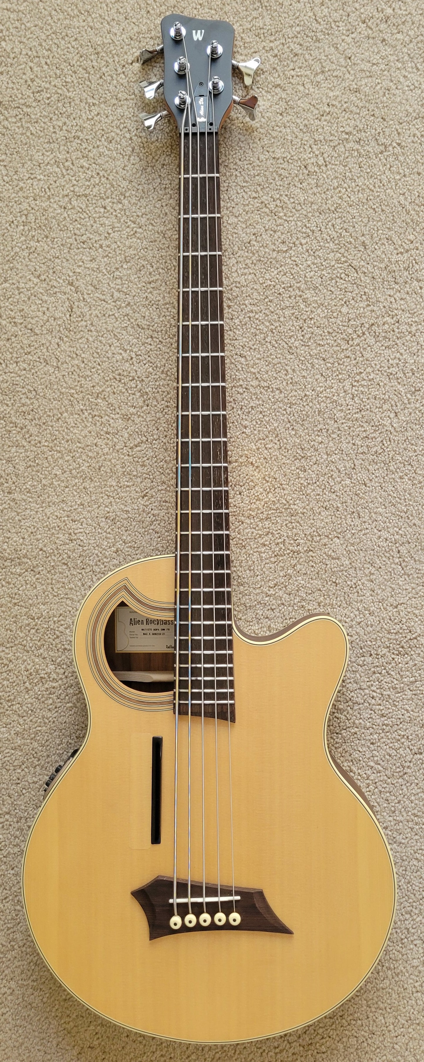 Warwick RockBass Alien Deluxe Hybrid Thinline 5-String Acoustic Electric Bass Guitar, New Gig Bag
