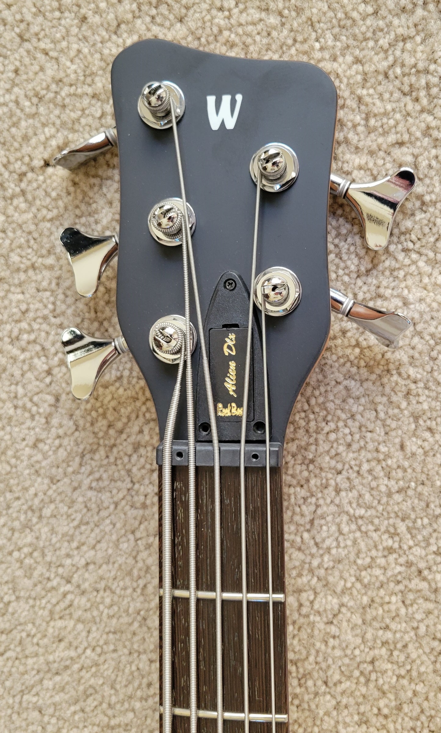 Warwick RockBass Alien Deluxe Hybrid Thinline 5-String Acoustic Electric Bass Guitar, New Gig Bag