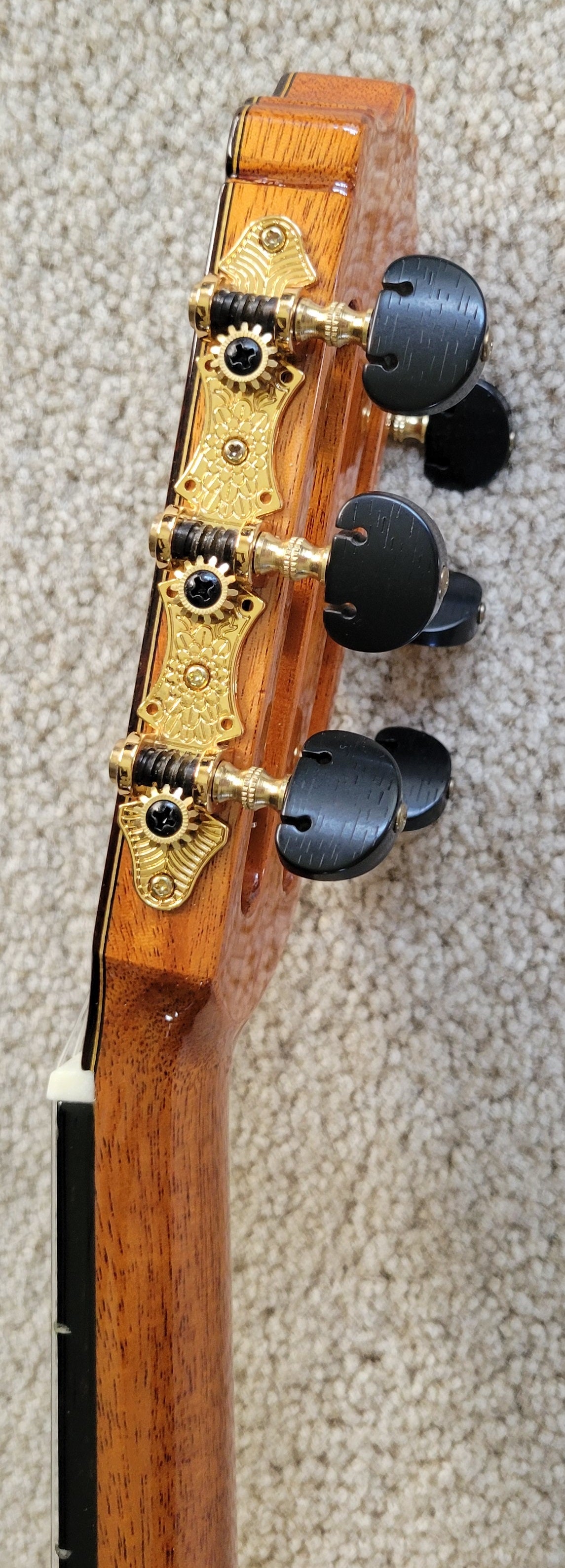 Cordoba C12 CD Cedar Traditional Classical Acoustic Guitar - New Cordoba Humicase