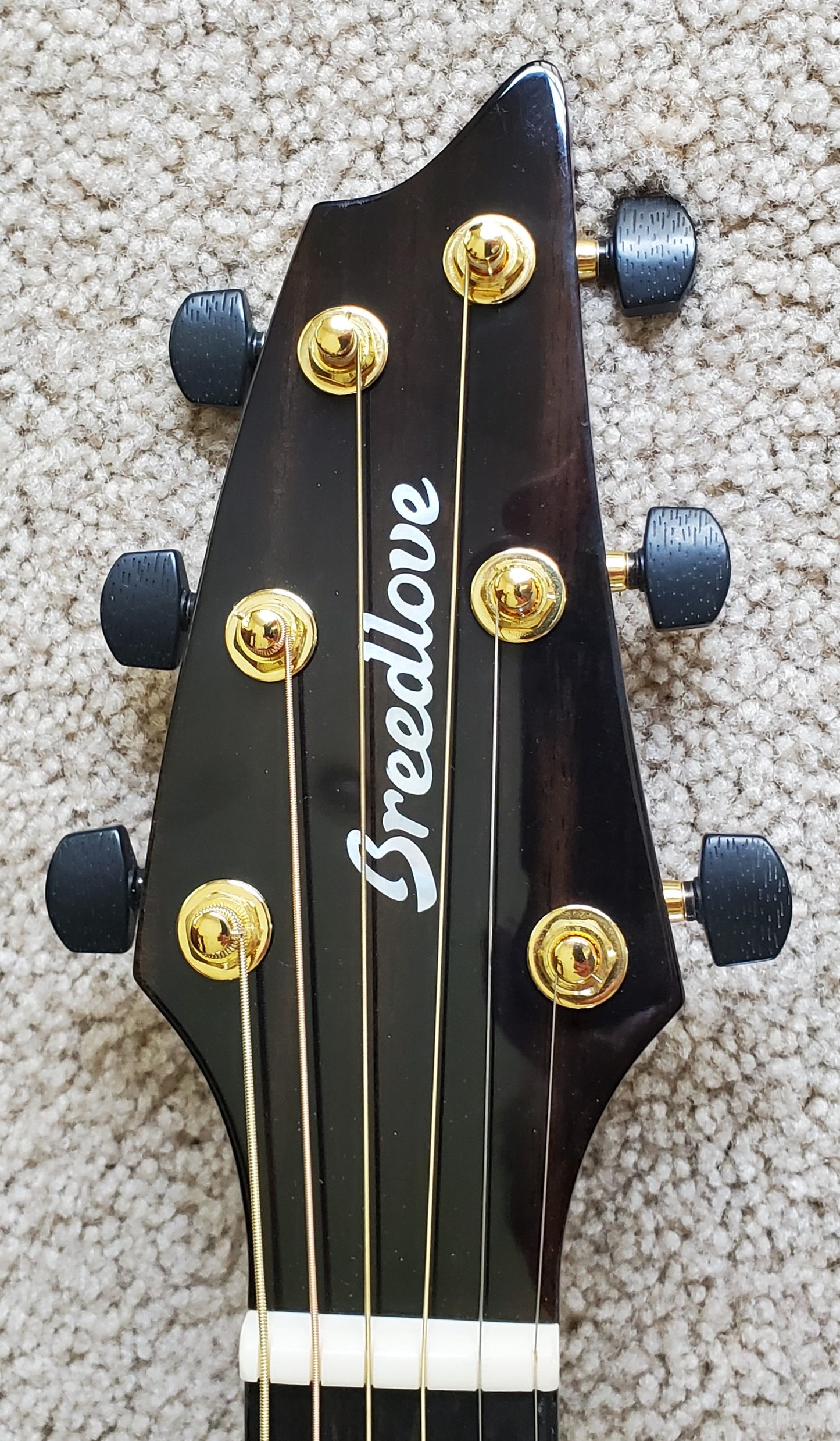 Breedlove Organic Collection Artista Concert Copper CE Acoustic Electric Guitar, Deluxe Gig Bag