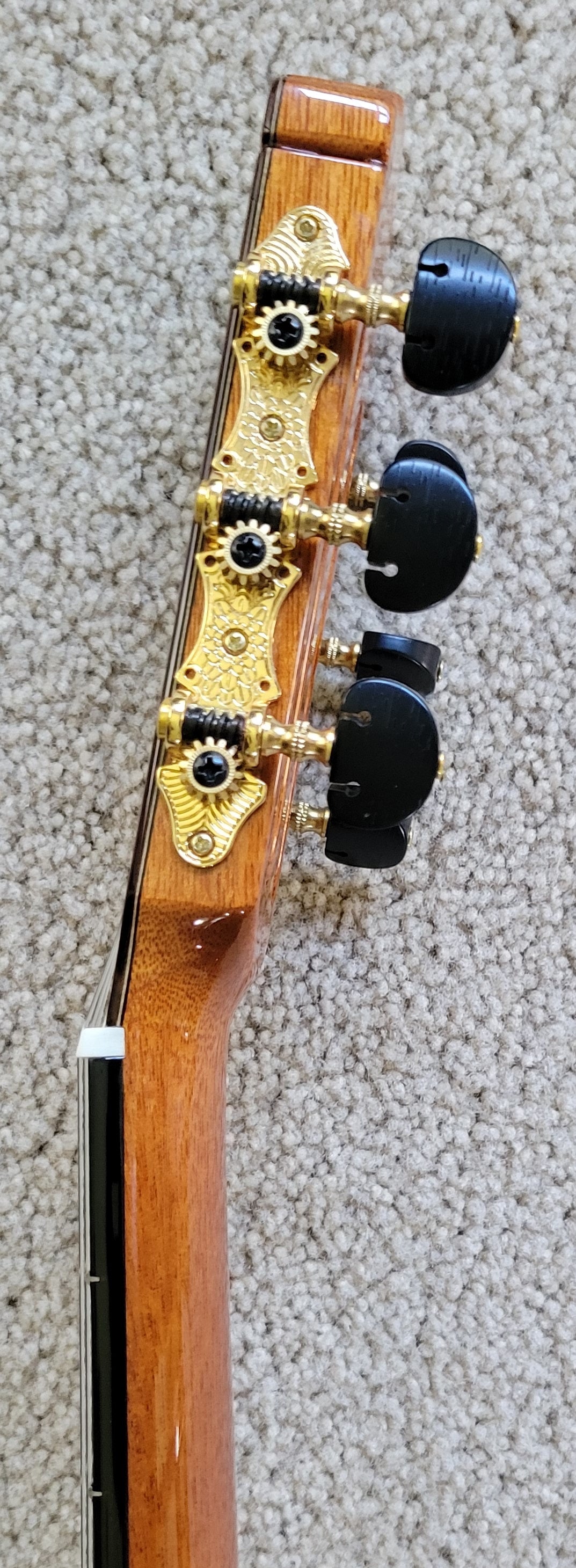 Cordoba C12 CD Cedar Traditional Classical Acoustic Guitar--New Cordoba Humicase