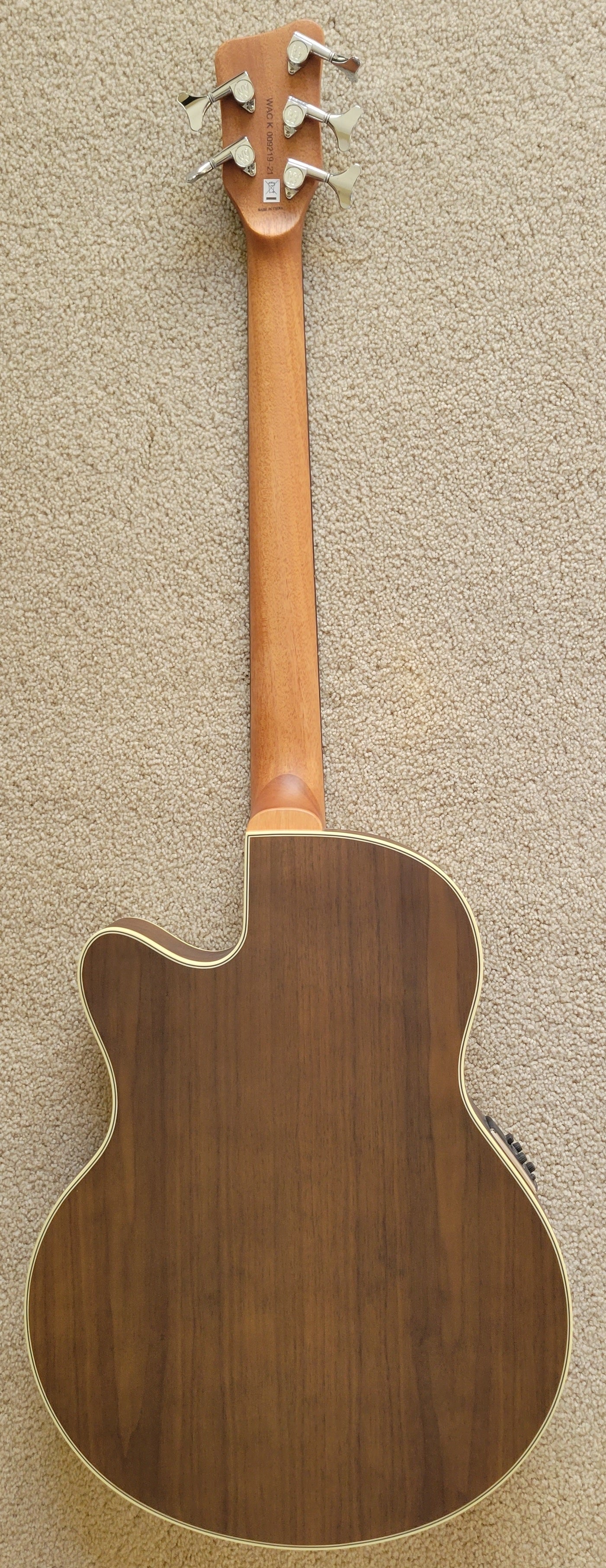 Warwick RockBass Alien Deluxe Hybrid Thinline 5-String Acoustic Electric Bass Guitar, New Gig Bag