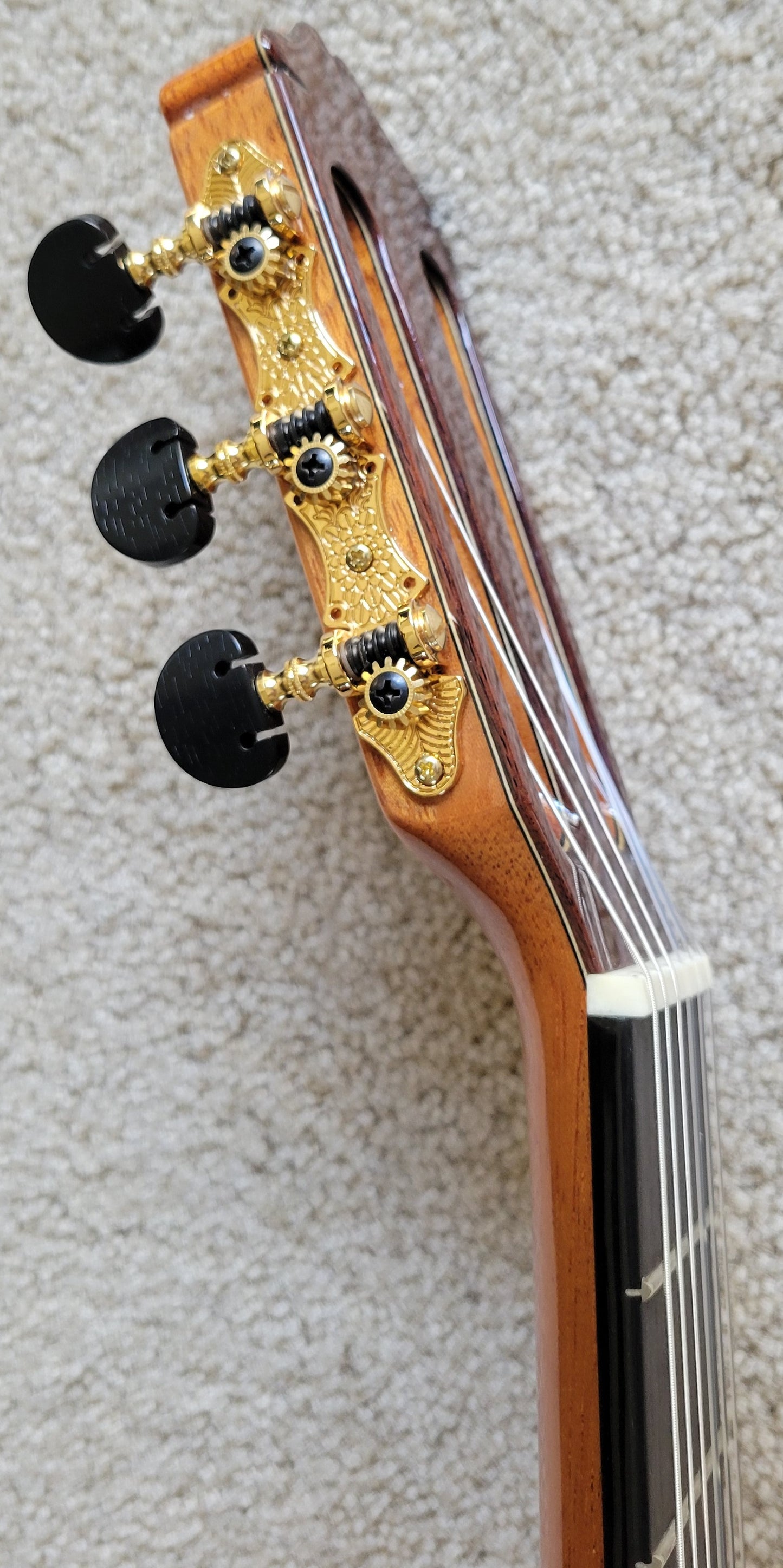 Cordoba 55FCE Negra Ziricote Classical Thinbody Acoustic Electric Guitar, New Hard Shell Case