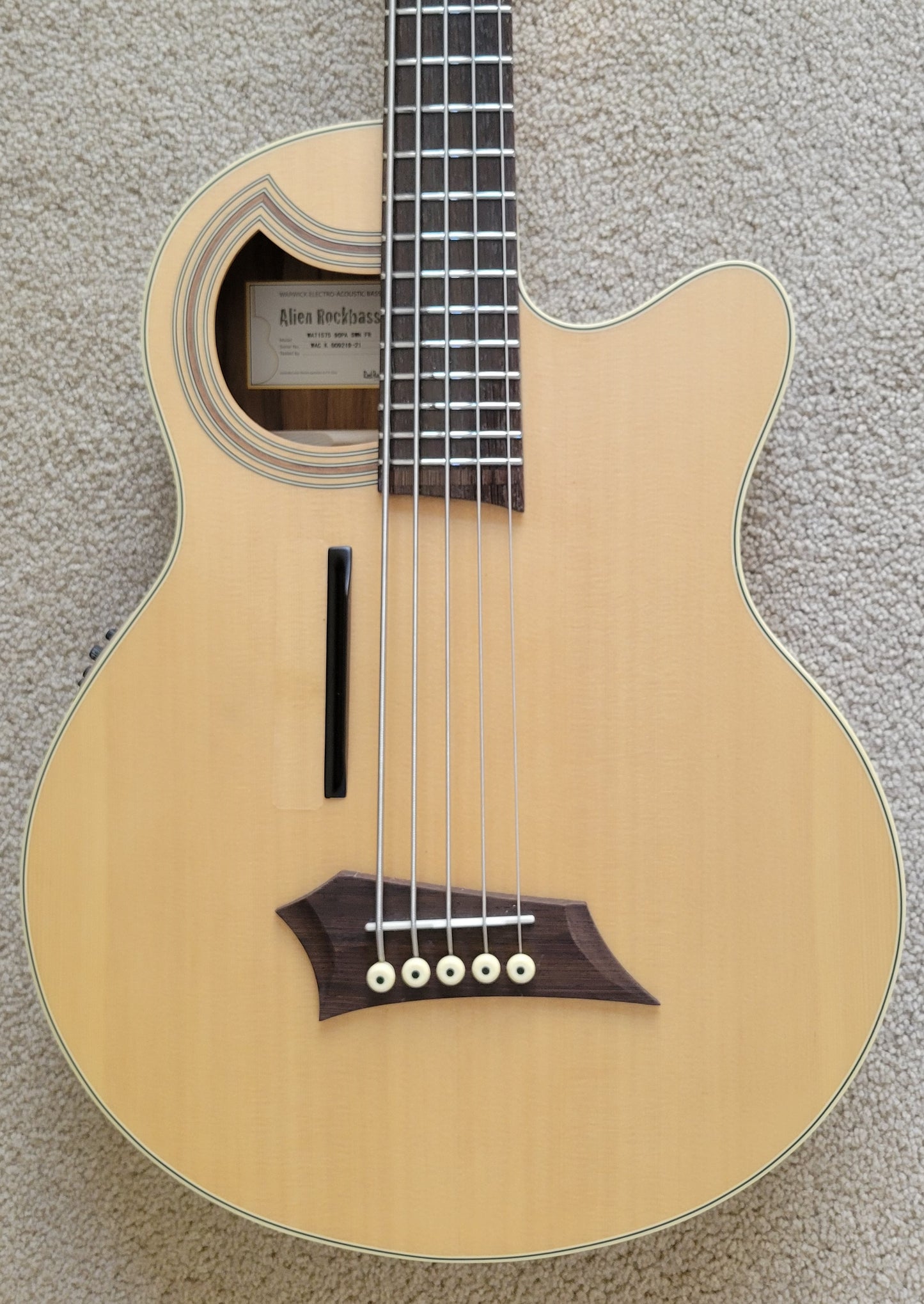 Warwick RockBass Alien Deluxe Hybrid Thinline 5-String Acoustic Electric Bass Guitar, New Gig Bag