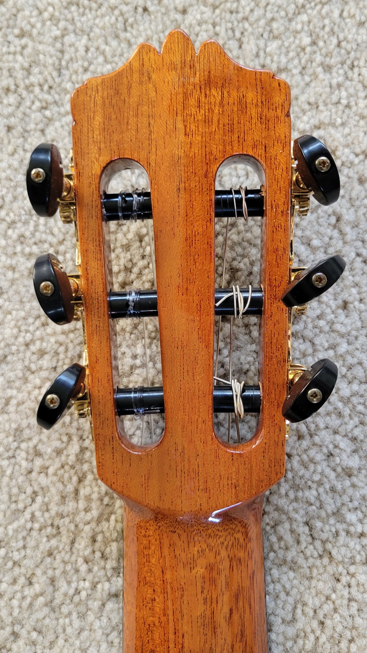 Cordoba C12 CD Cedar Traditional Classical Acoustic Guitar - New Cordoba Humicase