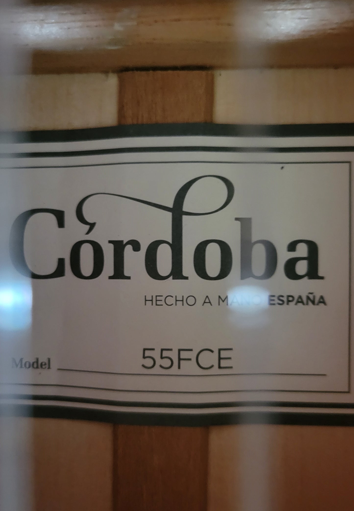Cordoba 55FCE Thinbody Classical Acoustic Electric Guitar, Honey Amber, New Hard Shell Case