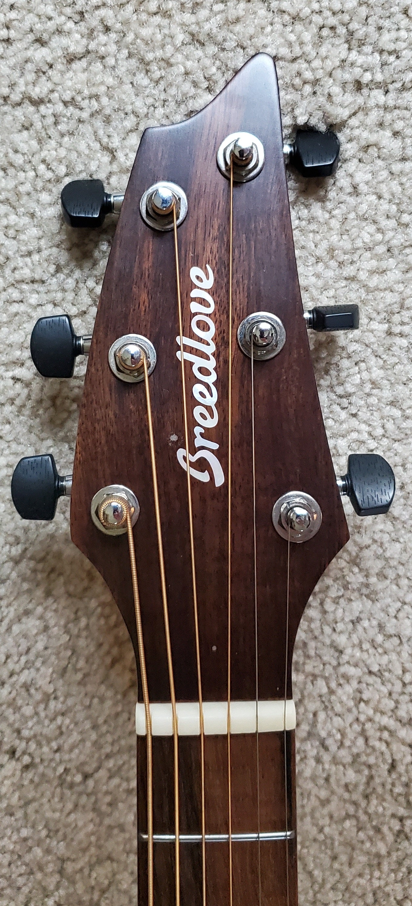 Breedlove Signature Companion Copper E Acoustic Electric Guitar, New Taylor Case