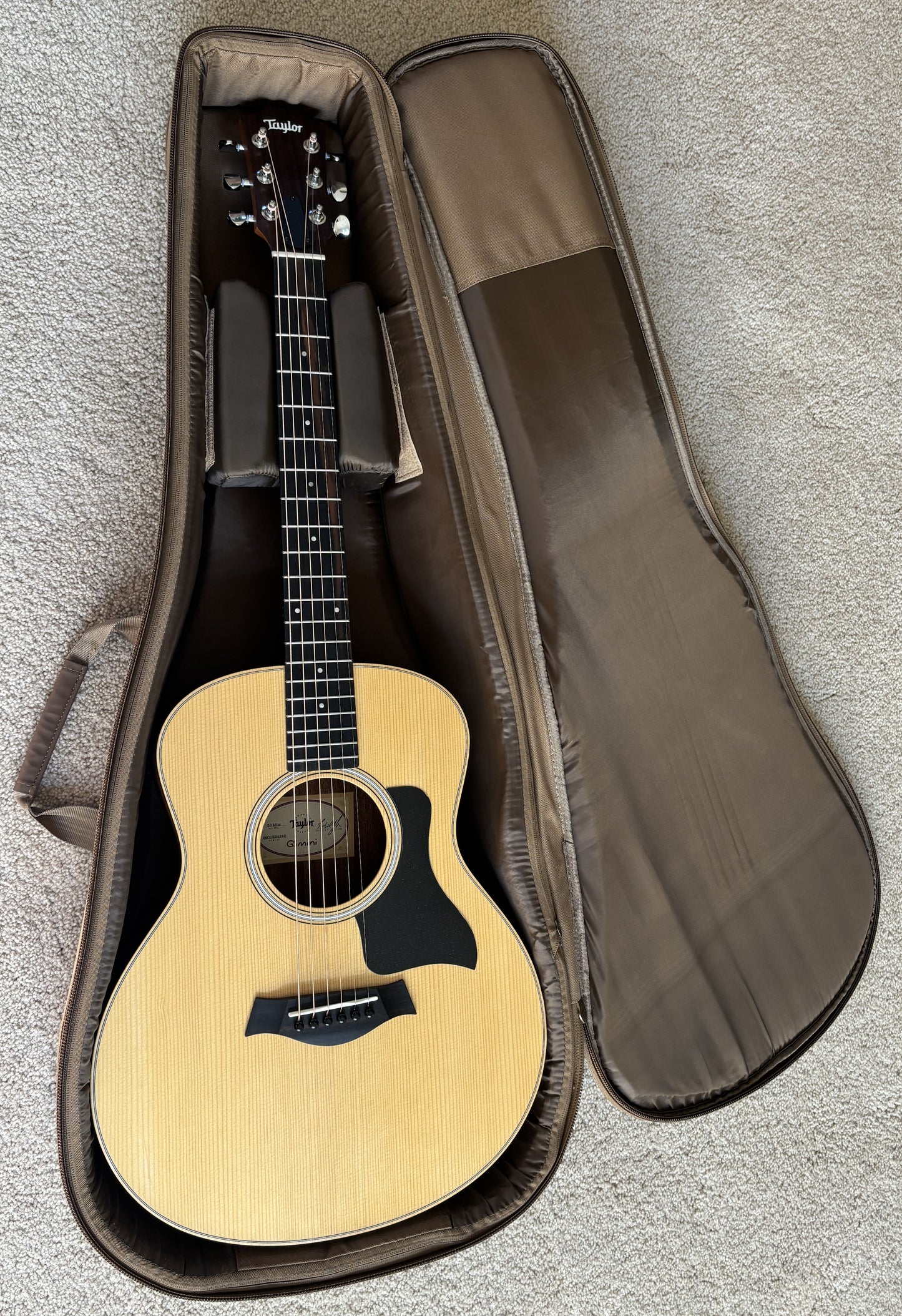 Taylor GS Mini Acoustic Guitar, Torrefied Spruce Top, Taylor Gig Bag