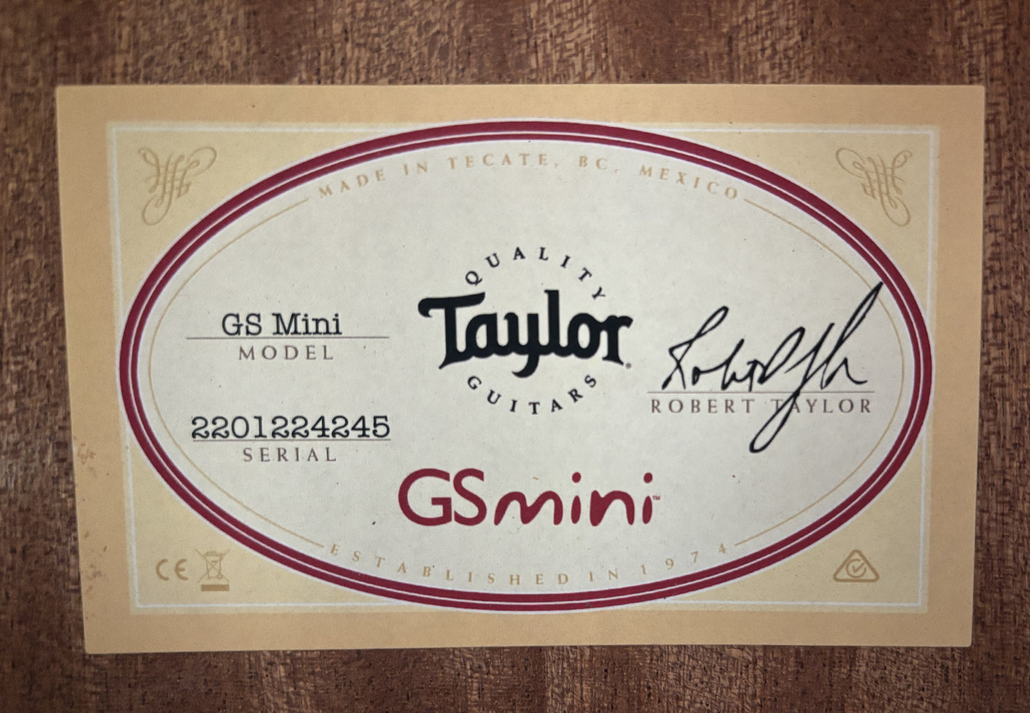 Taylor GS Mini Acoustic Guitar, Torrefied Spruce Top, Taylor Gig Bag