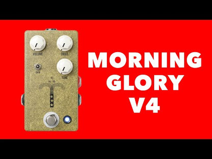 JHS Morning Glory V4