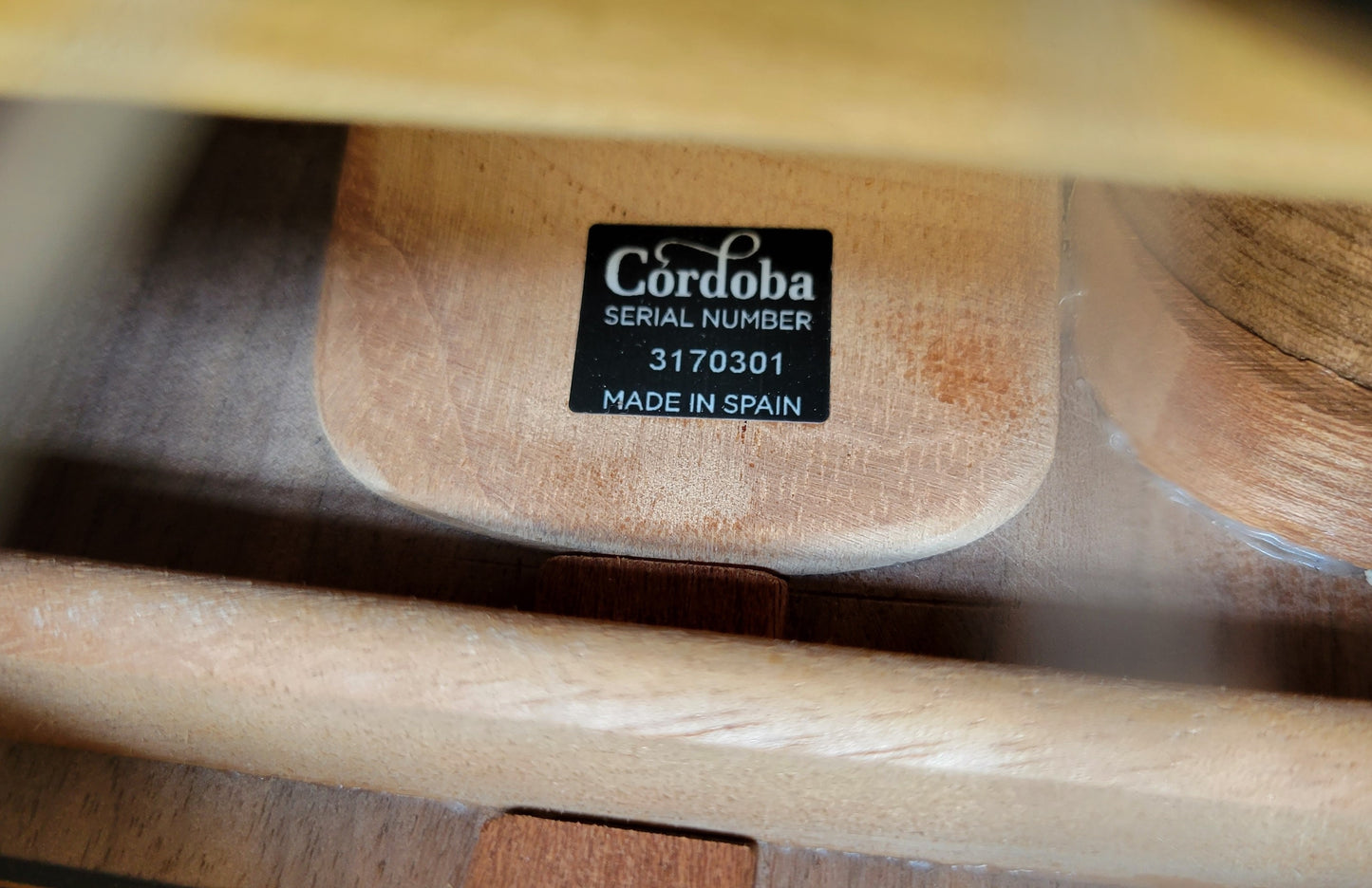 Cordoba 55FCE Negra Ziricote Classical Thinbody Acoustic Electric Guitar, New Hard Shell Case