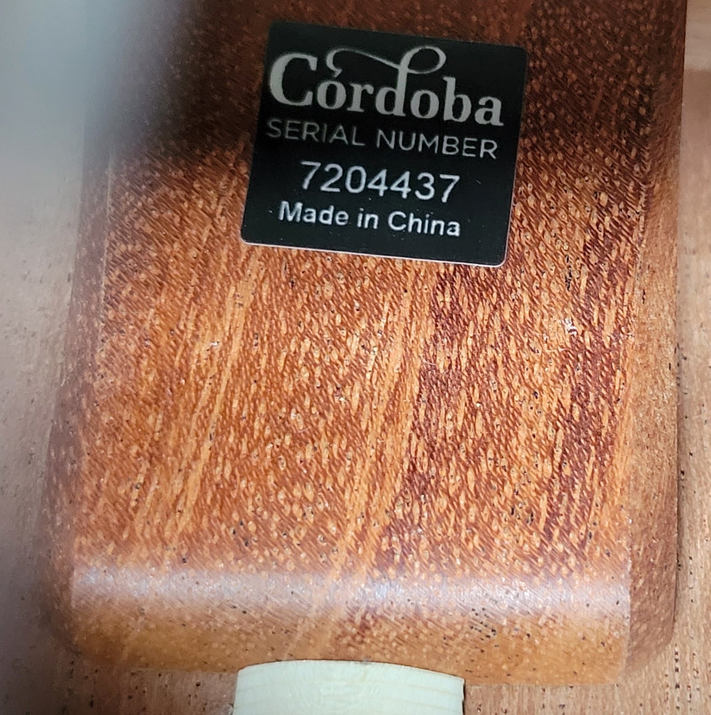 Cordoba C9 Parlor CD Acoustic Classical Guitar, New Rigid Case